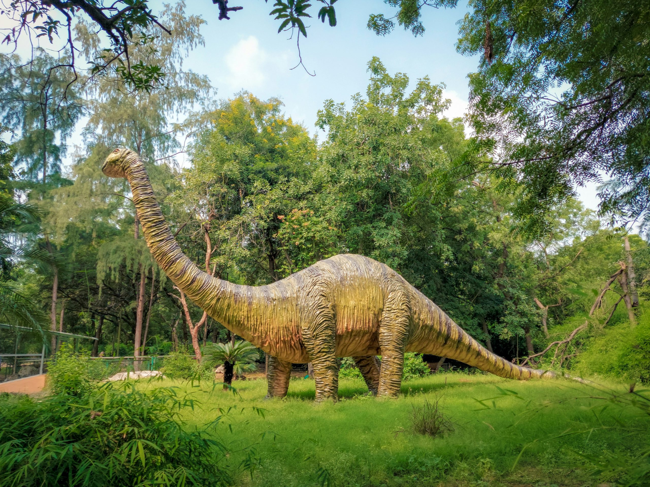 Not Sure Dino